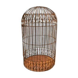 wrought iron bird cage