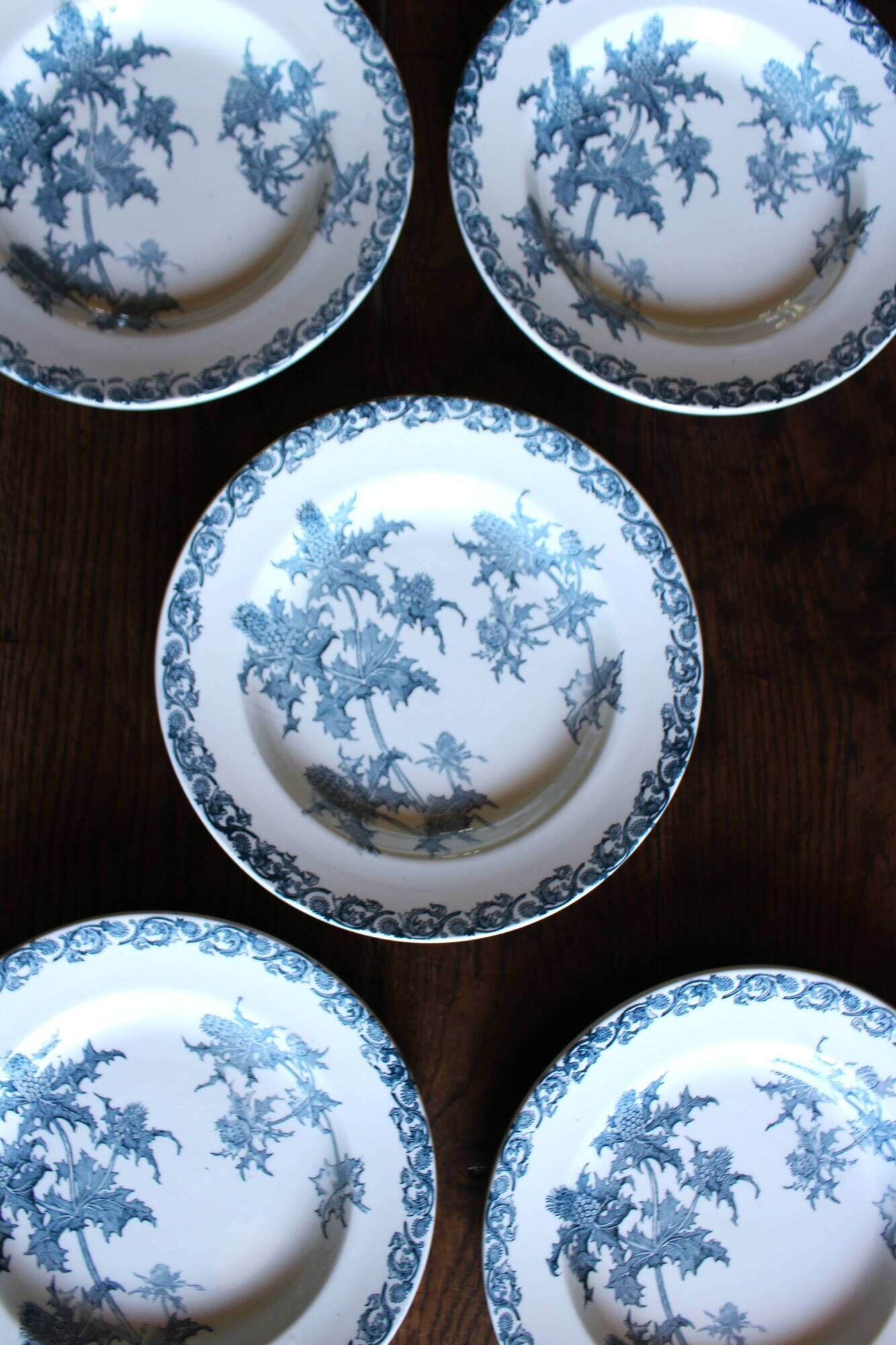 A set of 5 deep plates Chardon Bleu Terre de Fer Clairefontaine Righi