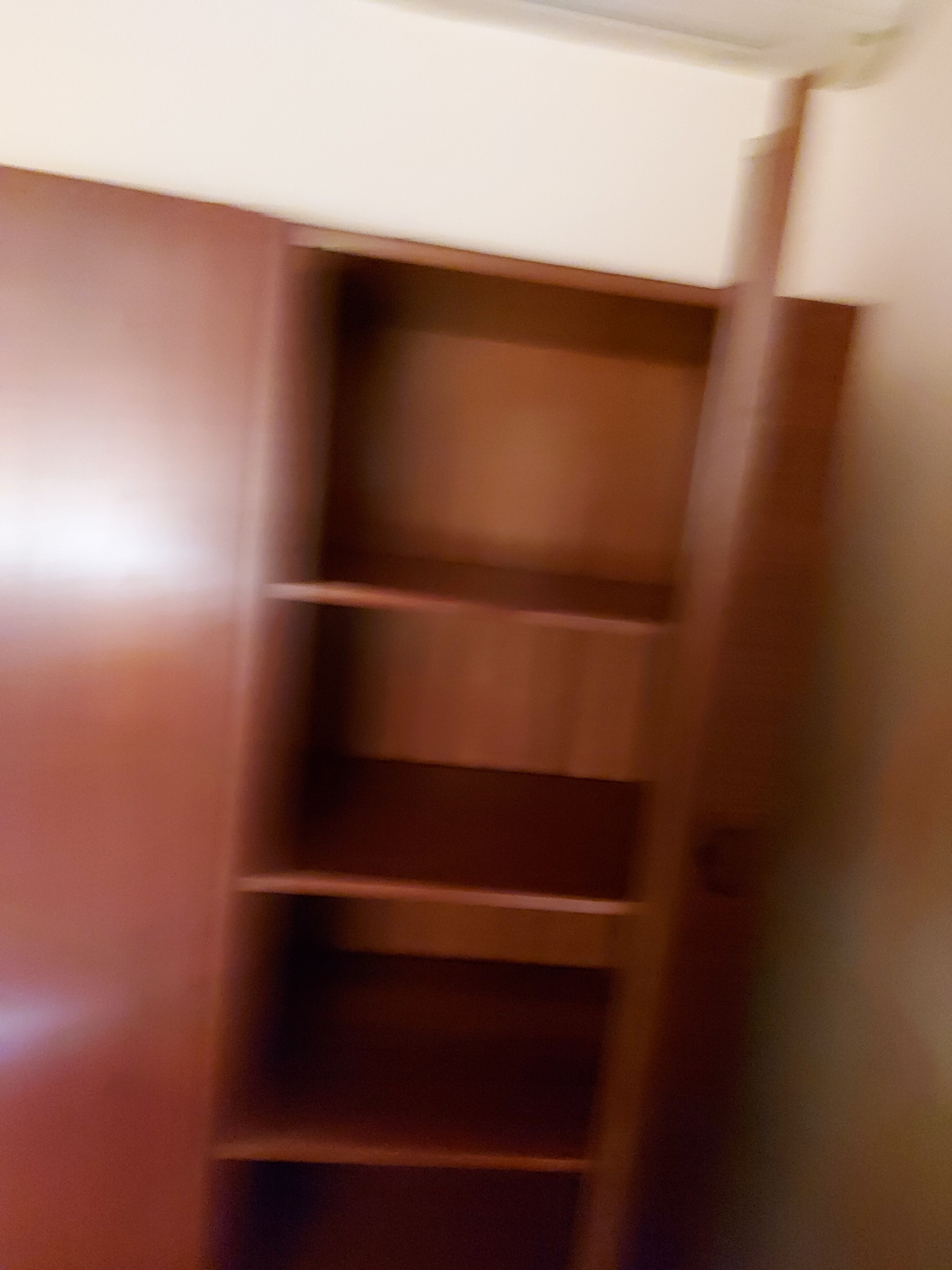 Vintage cabinet in palissandre