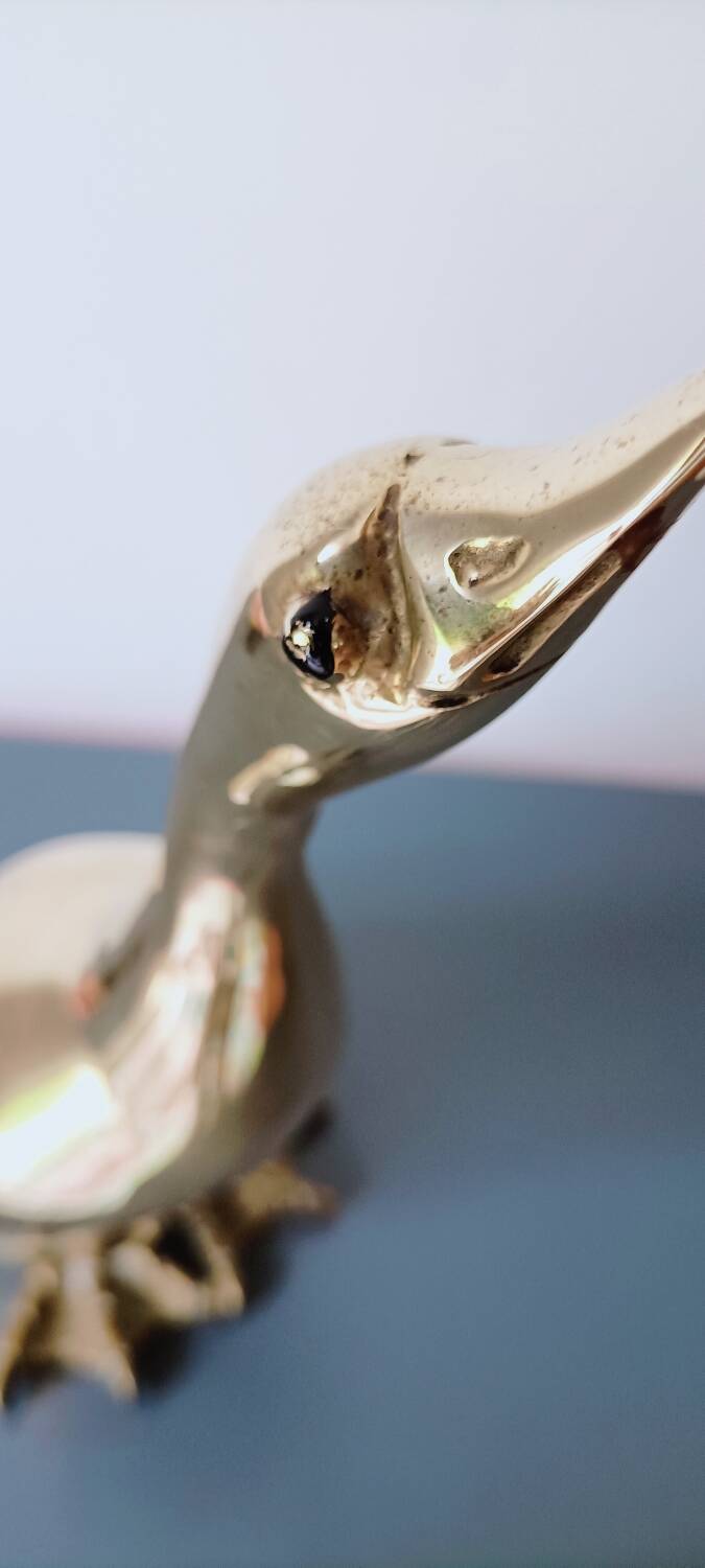 Brass goose