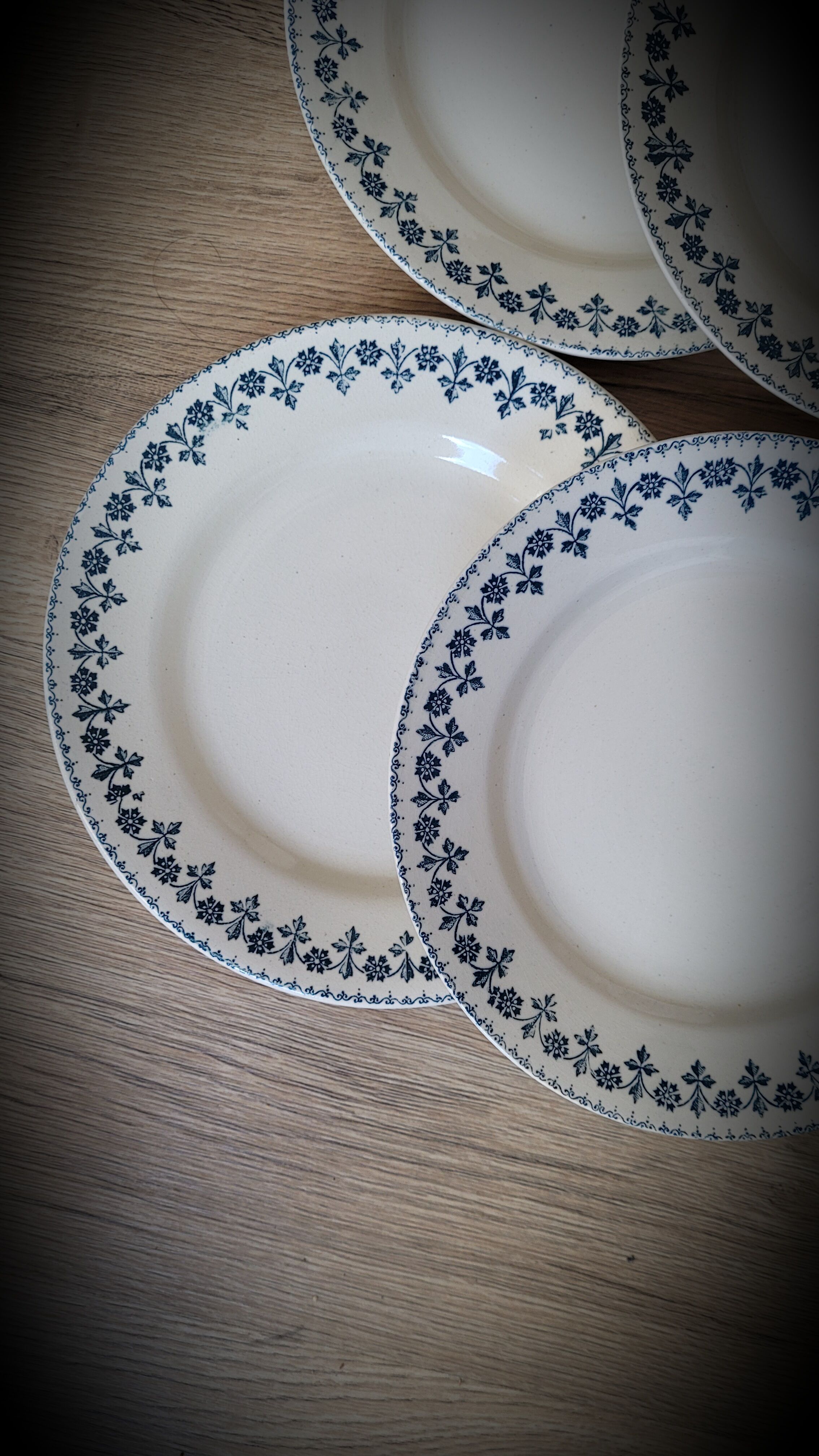 Set 6 plates Terre de Fer Barbeaux