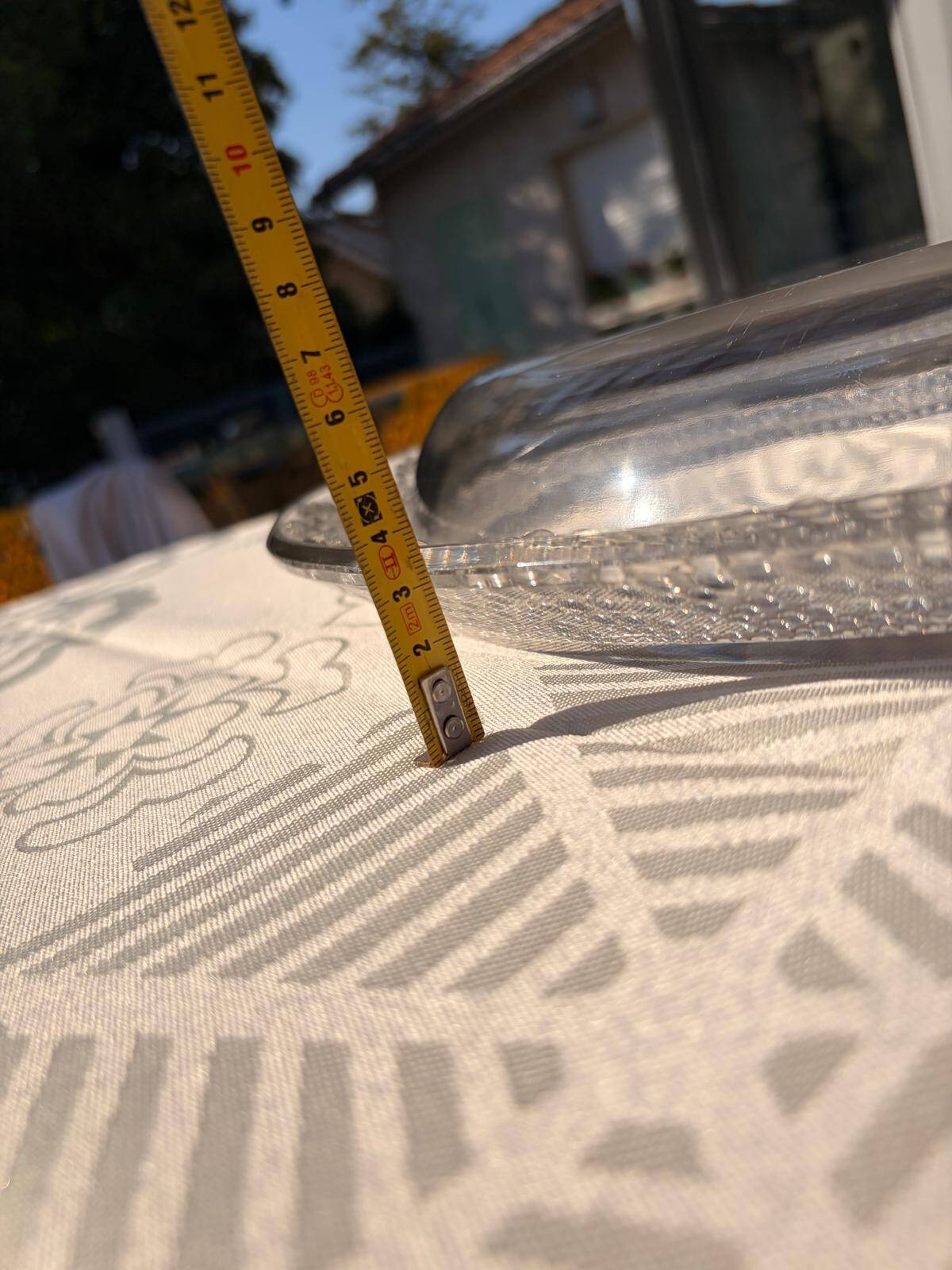 Plat ovale, jardinière Tokyo signé R. Lalique