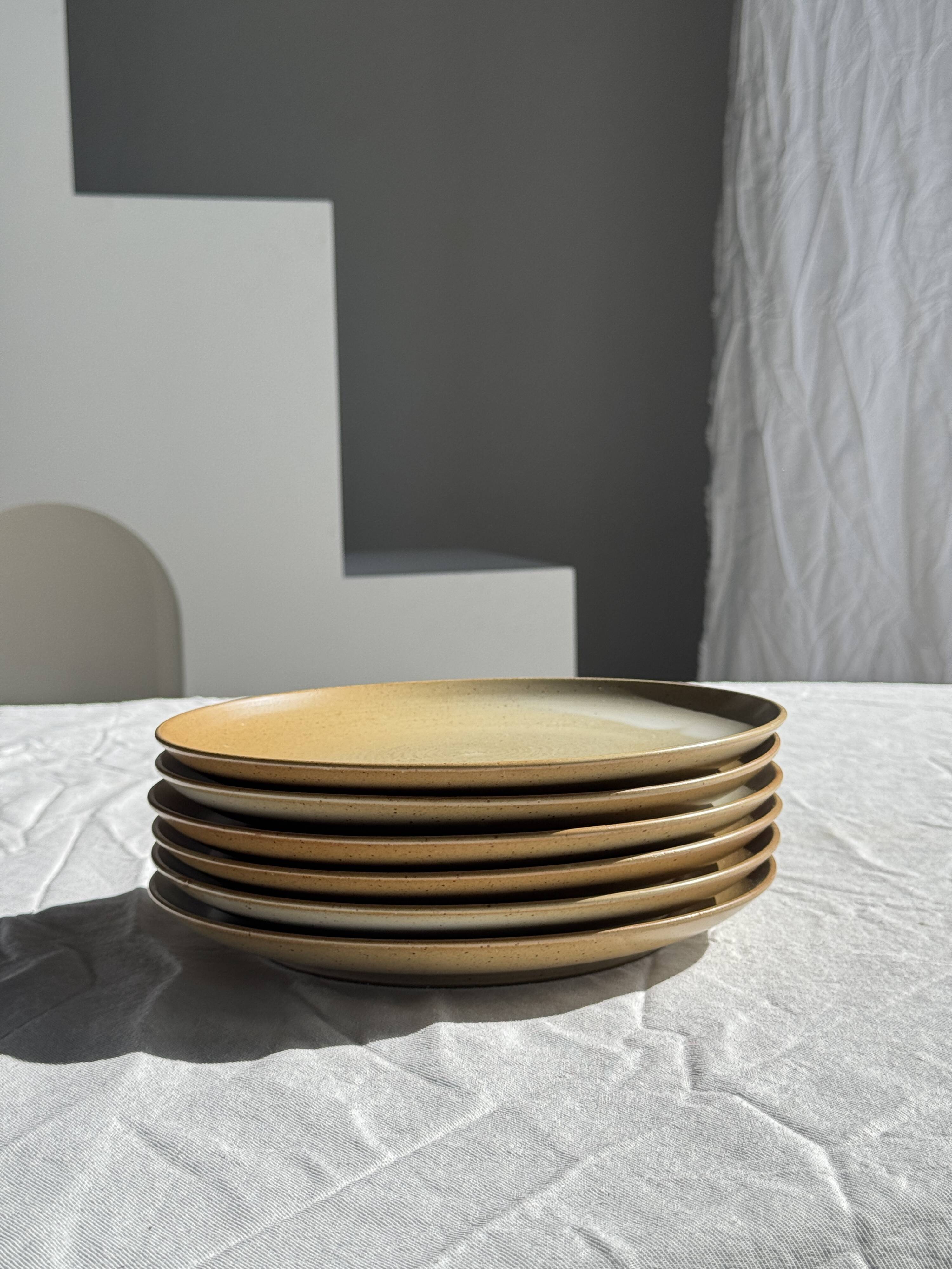 Set of 6 stoneware plates Village France D24