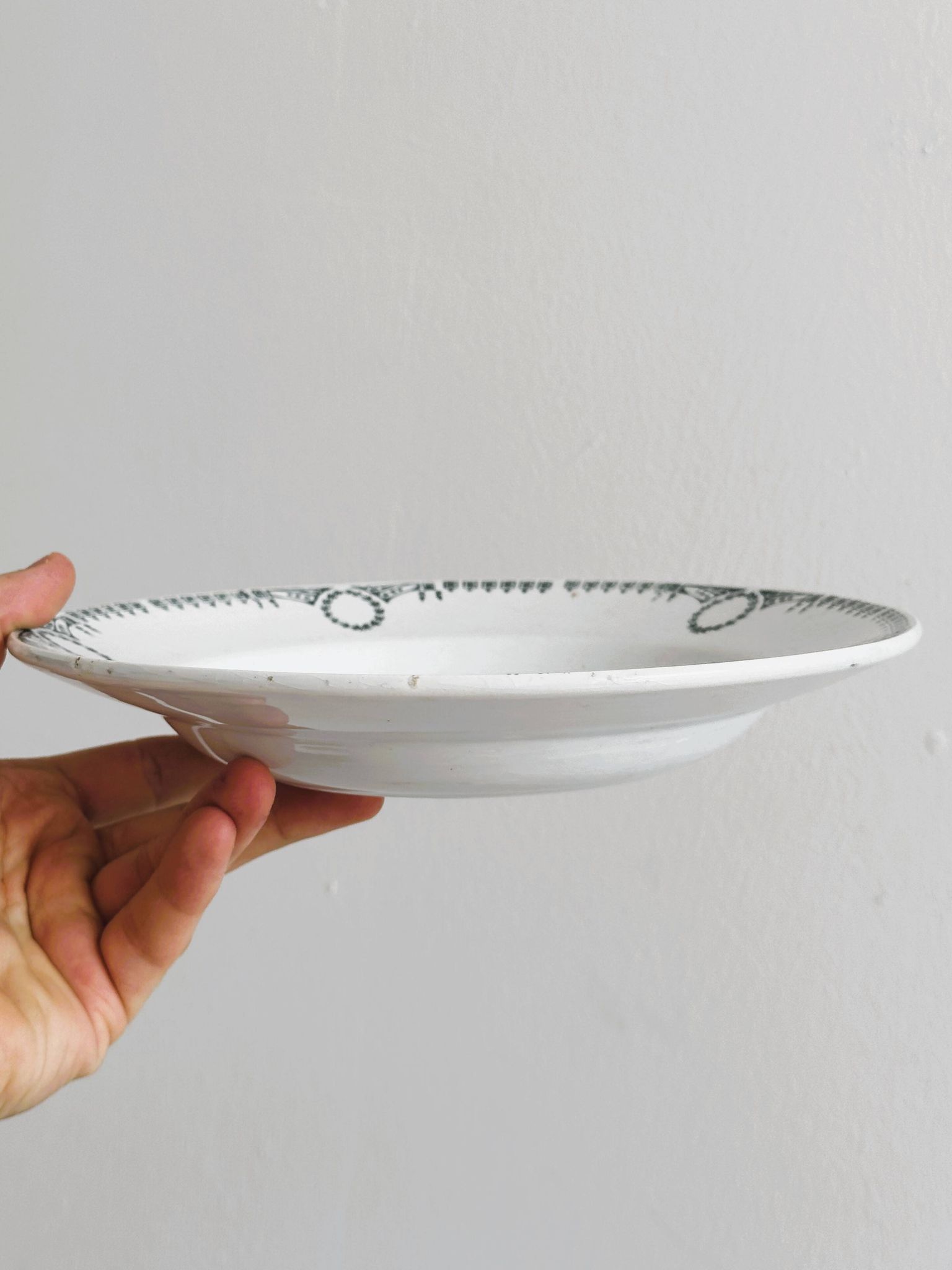 5 iron earthenware soup plates