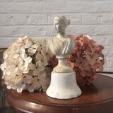 Ancient plaster bust