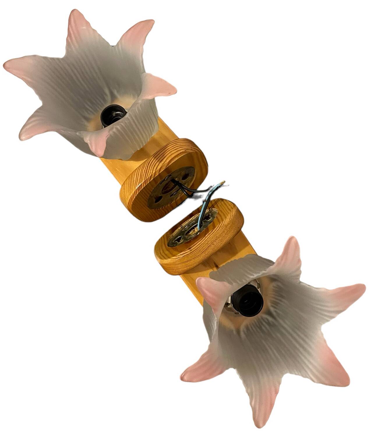Pair of glass flower pine wall lights