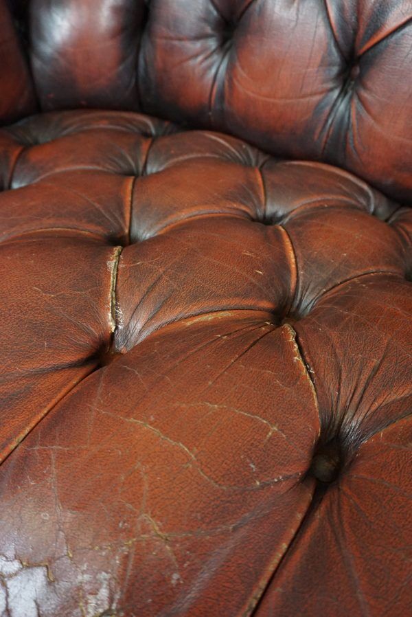 Chesterfield sofa in resistant cowhide, 3 seats