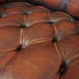 Chesterfield sofa in resistant cowhide, 3 seats