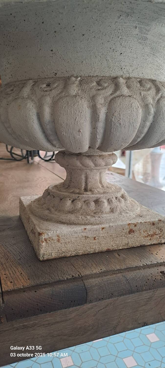 19th century cast iron medicis garden vase