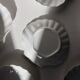 White shell cup