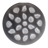 Shell dish