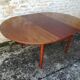Table scandinave a rallonge