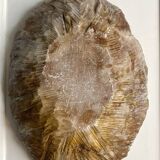 Cup, centerpiece in alabaster, Italy