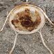Garden furniture wrought iron old vintage xxeme