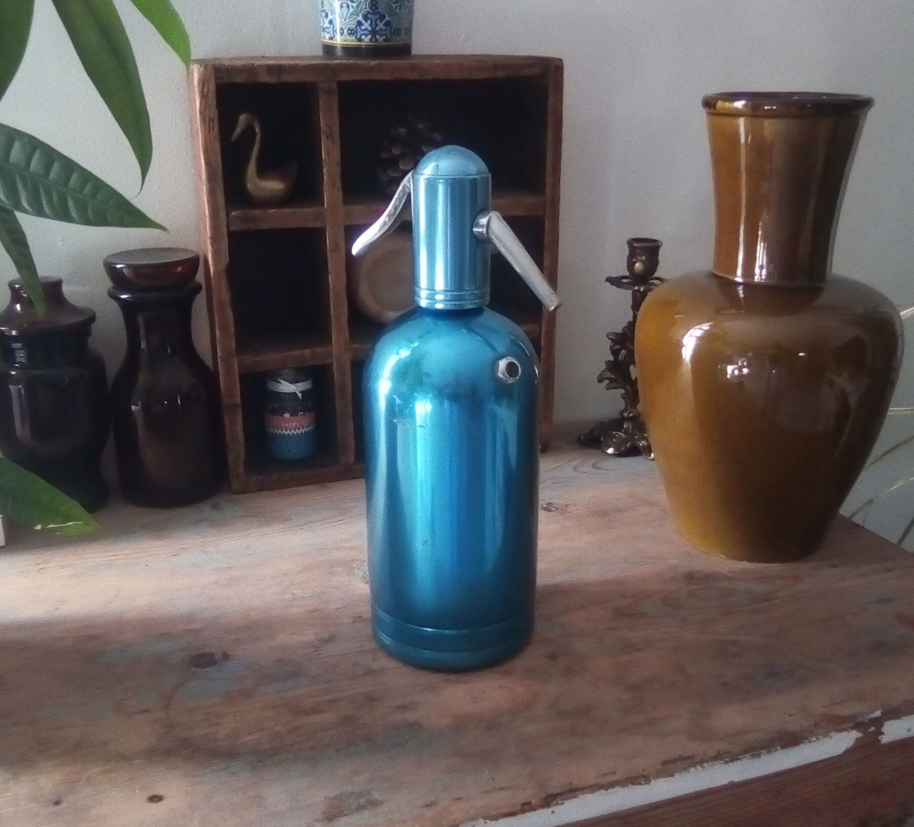 Siphon 50s Saccab milano