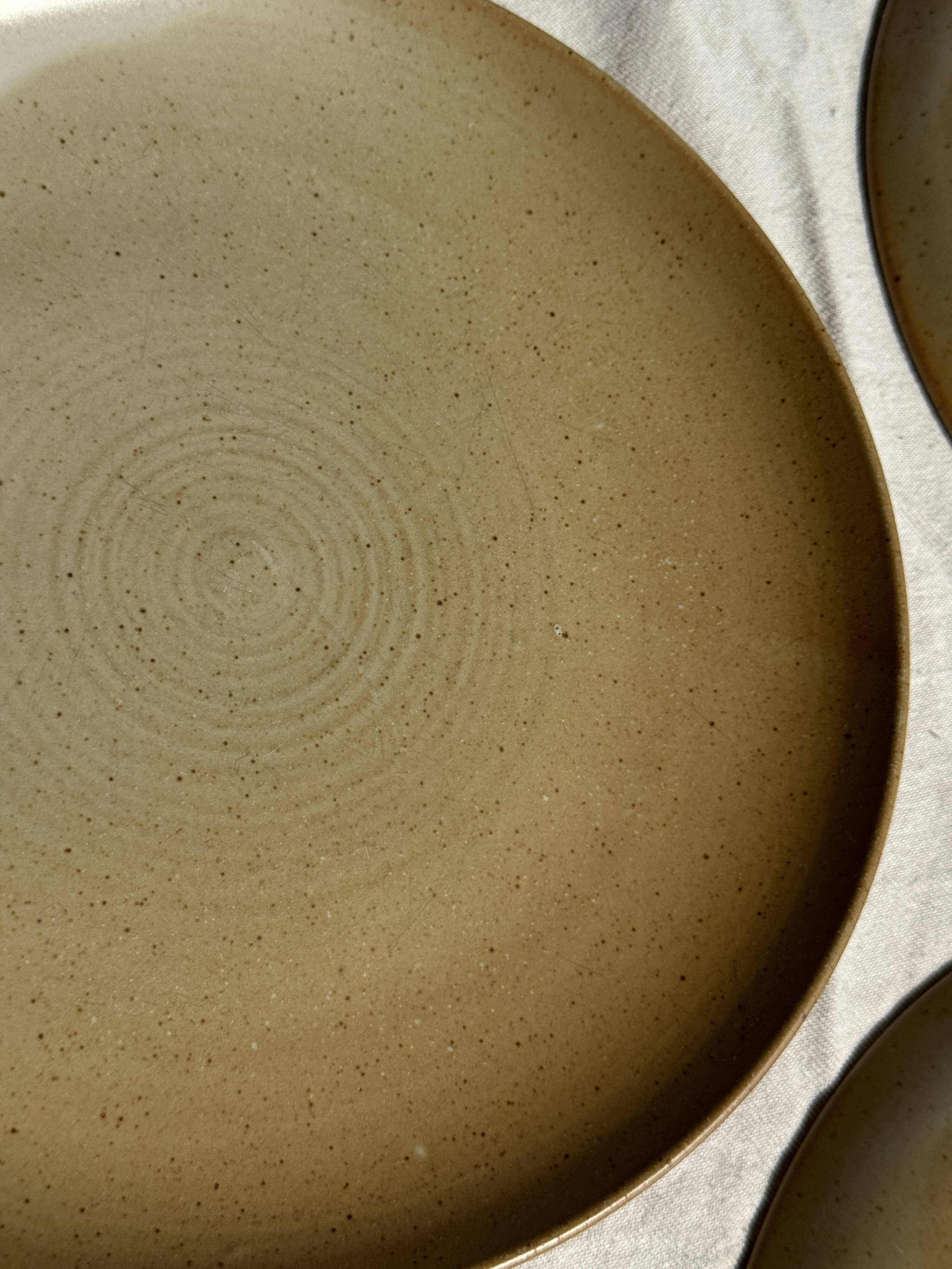 Set of 6 stoneware plates Village France D24