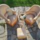 Pair of toad chairs and 1 ottoman