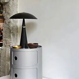 Modules componibili Kartell silver, A. Castelli