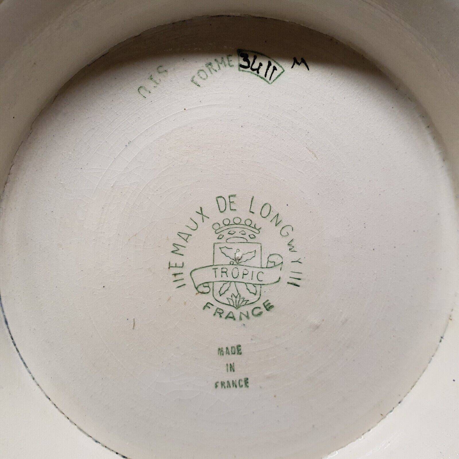 Large Longwy Emaux Dish Model Tropic D35 CM To Hang Or Other Decoration