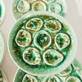 Set of 6 Niderviller oyster plates, moss décor