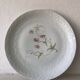 Assiettes plates en porcelaine de Limoges