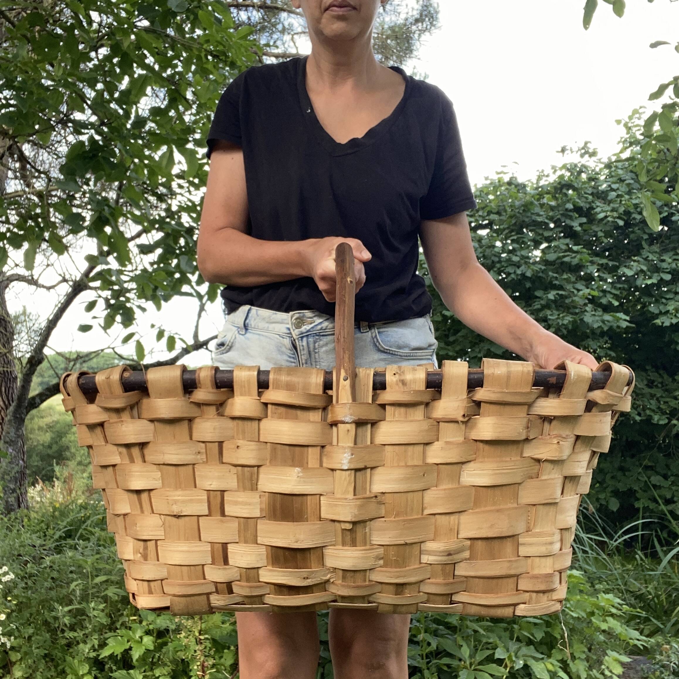 Panier en châtaignier et noisetier