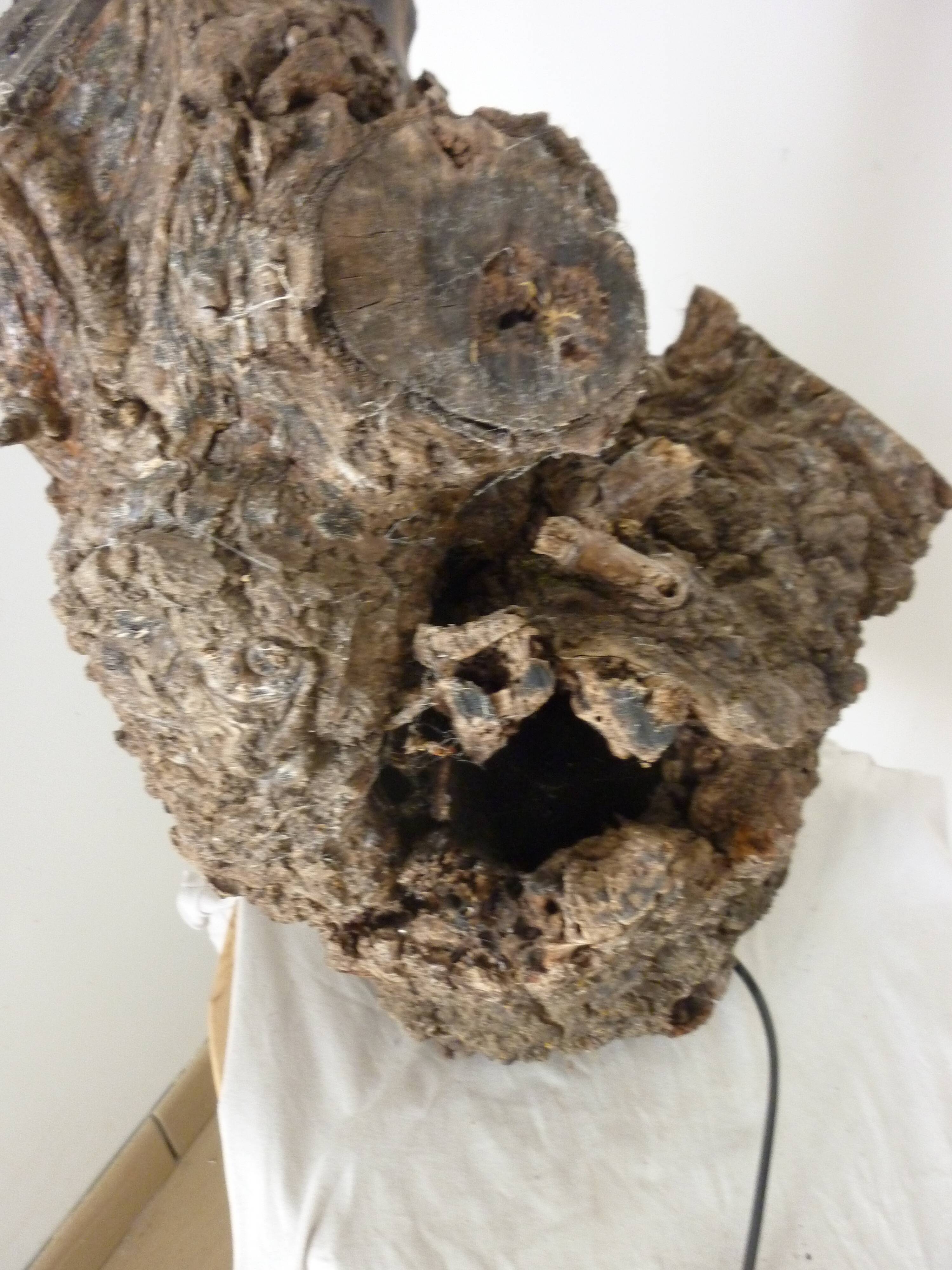 Brutalist turned wood lamp