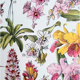 Old botanical board 20s orchids