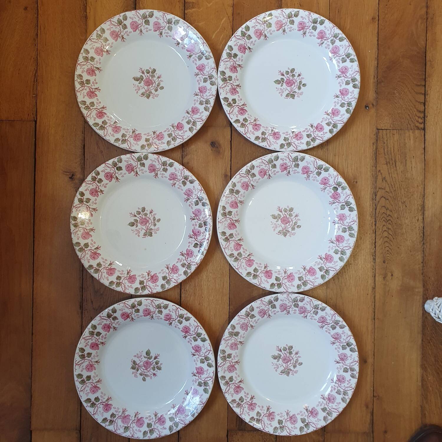 6 plates Terre de Fer Gien Garland of Roses
