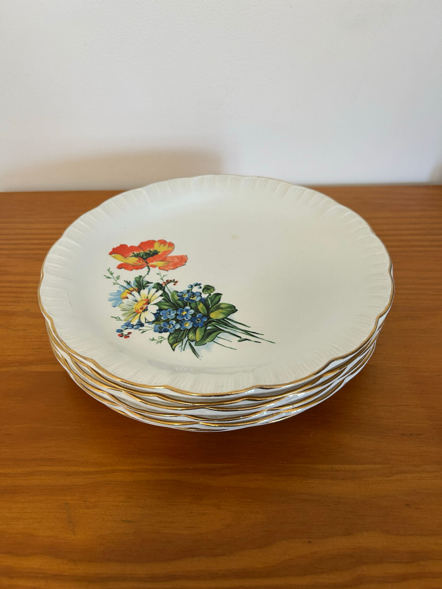 Set of 6 Antique Flat Plates Digoin & Sarreguemines - Model RE