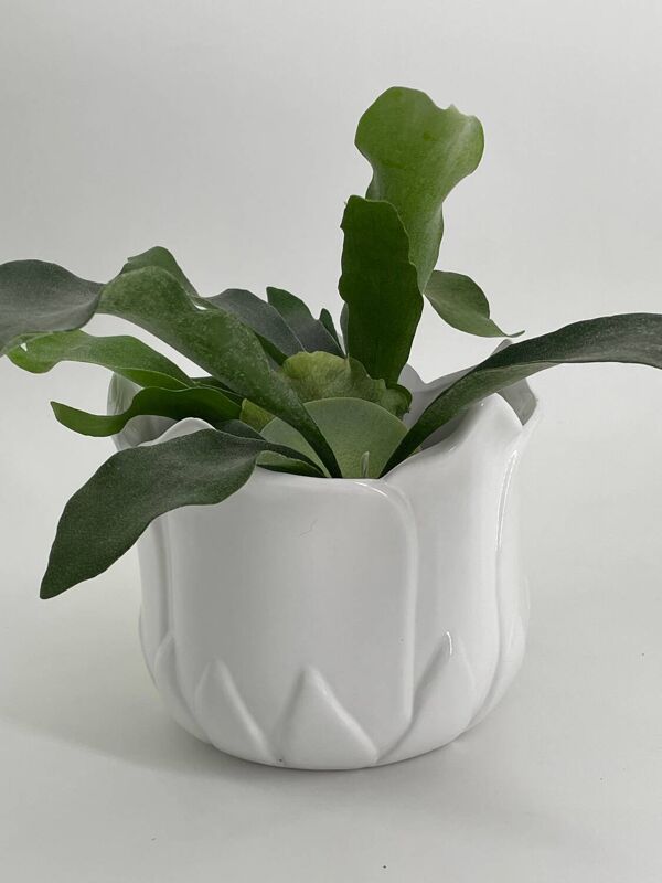 Cache pot en forme de tulipe porcelaine blanc vintage