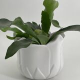 Vintage white porcelain tulip-shaped pot holder