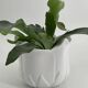 Cache pot en forme de tulipe porcelaine blanc vintage
