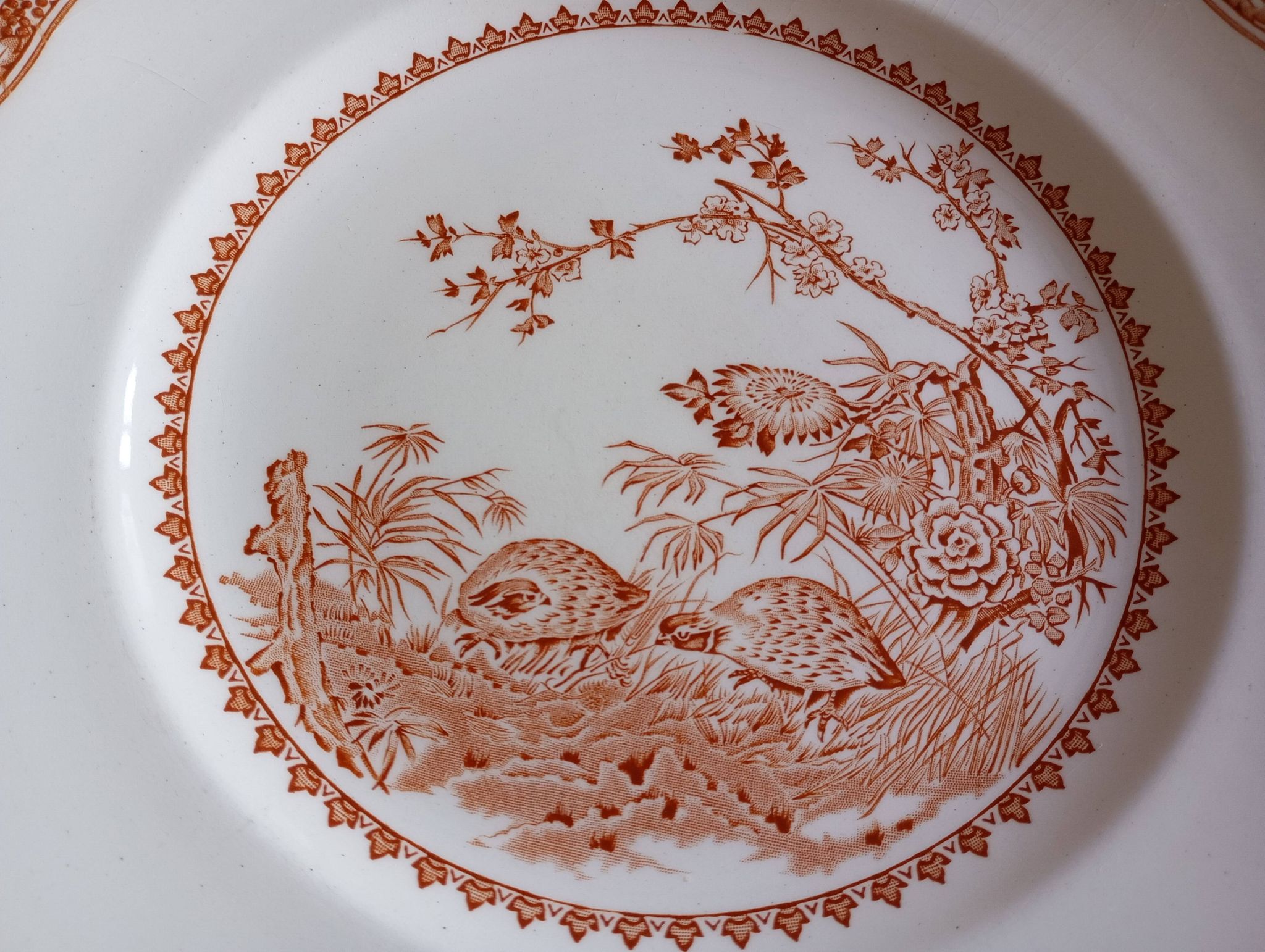English flat plates Furnivals "Quail"