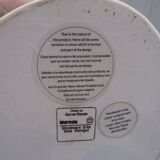 Soft green and natural ceramic vase by Carina Ciscato