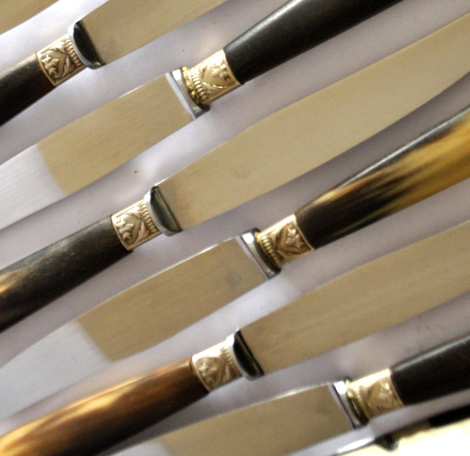 Set of 12 vintage table knives with horn handles and stainless steel blades RENEKA 24.5 cm