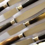 Set of 12 vintage table knives with horn handles and stainless steel blades RENEKA 24.5 cm