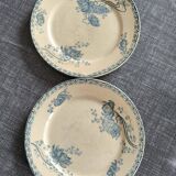 Royat dessert plates Sarreguemines