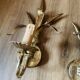 Pair of wheat spike wall lights in gold metal