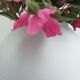 Biscuit ball vase