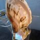 Vintage shell night light lamp from the 1960s