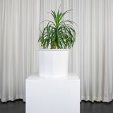 XXL plant pot by Karin Björquist for the Gustavsberg factory, 1980, Sweden