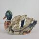 Duck majolica planter, planter, 1900