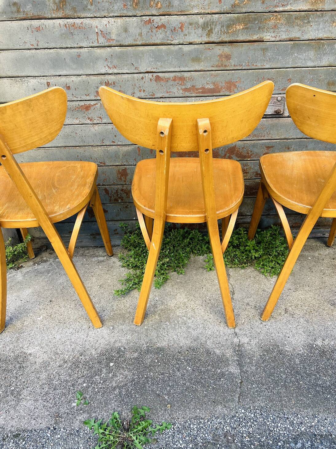 (Lot) 6 Bistro Chairs Lutherma Banana (Light Oak)