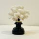 Antique natural white bush coral on wooden base Napoleon III cabinet of curiosities