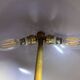 Midcentury Italian scallop mushroom wavy brass desk or table lamp, 1960s