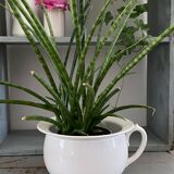 Digoin white pot