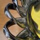 Enameled braided cup