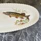 Fish dish Luneville Badonviller