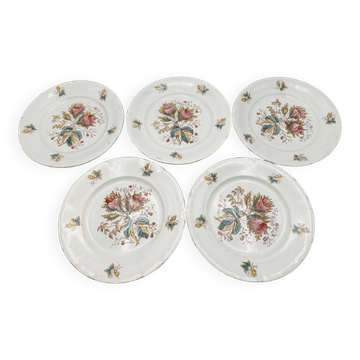 Set of 5 flat plates in antique earthenware – Saint-Amand – "Anemone"